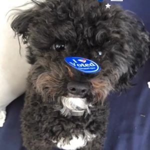 Meet your Posher, Hollyann